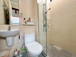 Golden Chuan Ville (D19), Terrace #517079981